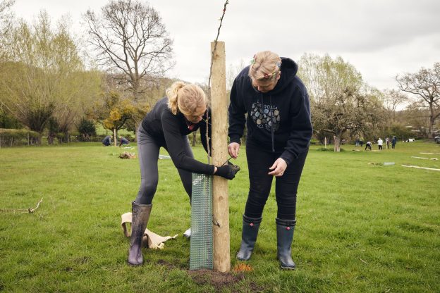 Two Prime associates planting a tree at the Prime Woodland in Alfrick